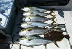 さぶろう丸 釣果