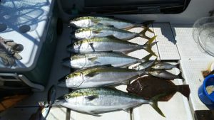 さぶろう丸 釣果