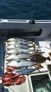 さぶろう丸 釣果