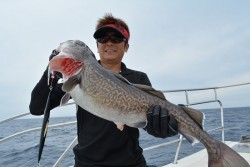 ハピネスⅡ 釣果