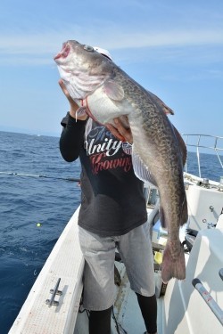 ハピネスⅡ 釣果