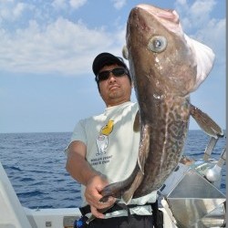 ハピネスⅡ 釣果