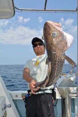 ハピネスⅡ 釣果