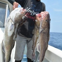 ハピネスⅡ 釣果