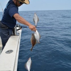 ハピネスⅡ 釣果