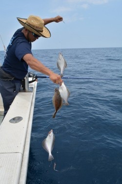 ハピネスⅡ 釣果