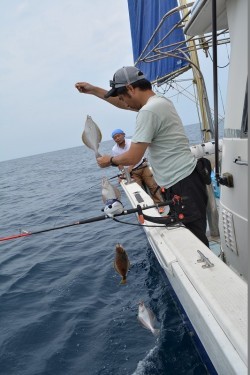 ハピネスⅡ 釣果