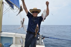 ハピネスⅡ 釣果