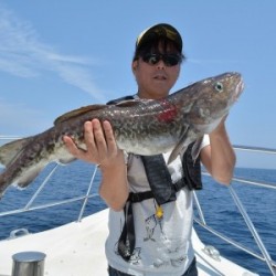 ハピネスⅡ 釣果