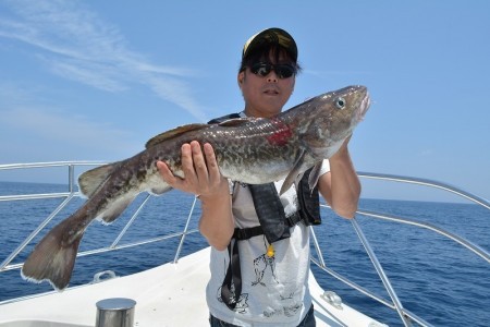 ハピネスⅡ 釣果