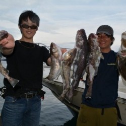 ハピネスⅡ 釣果