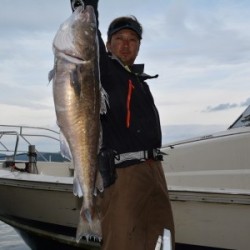 ハピネスⅡ 釣果