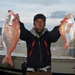 ハピネスⅡ 釣果