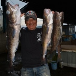 ハピネスⅡ 釣果