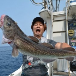 ハピネスⅡ 釣果