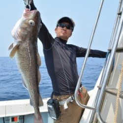 ハピネスⅡ 釣果