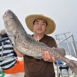 ハピネスⅡ 釣果