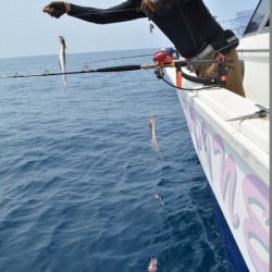 ハピネスⅡ 釣果