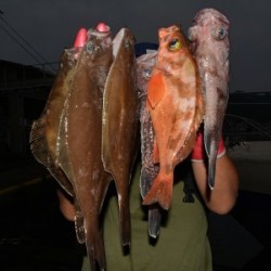 ハピネスⅡ 釣果