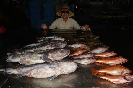 ハピネスⅡ 釣果