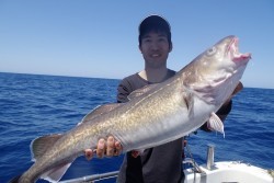 ハピネスⅡ 釣果