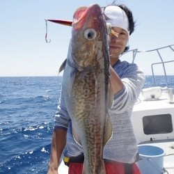 ハピネスⅡ 釣果