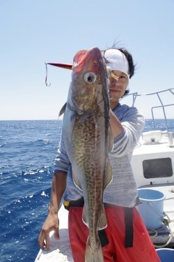 ハピネスⅡ 釣果