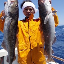 ハピネスⅡ 釣果