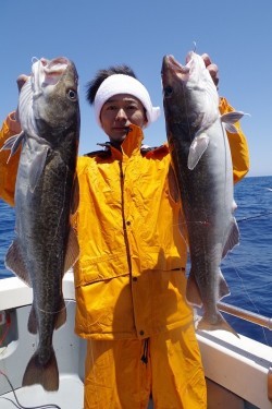 ハピネスⅡ 釣果