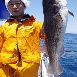 ハピネスⅡ 釣果