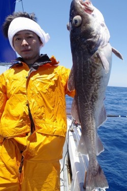 ハピネスⅡ 釣果