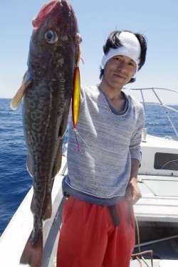 ハピネスⅡ 釣果