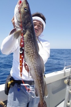 ハピネスⅡ 釣果