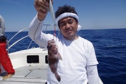 ハピネスⅡ 釣果