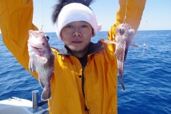 ハピネスⅡ 釣果