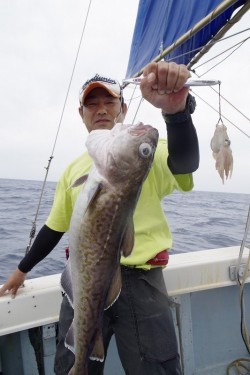 ハピネスⅡ 釣果