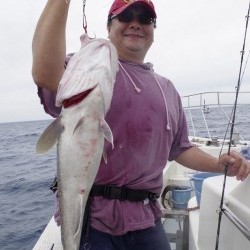 ハピネスⅡ 釣果