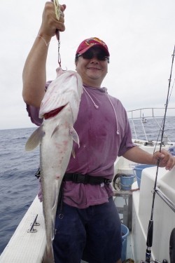 ハピネスⅡ 釣果