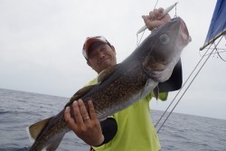 ハピネスⅡ 釣果