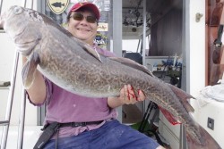 ハピネスⅡ 釣果