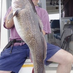 ハピネスⅡ 釣果