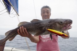 ハピネスⅡ 釣果