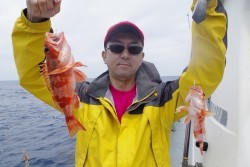 ハピネスⅡ 釣果