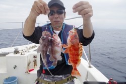 ハピネスⅡ 釣果