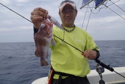 ハピネスⅡ 釣果