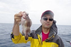 ハピネスⅡ 釣果