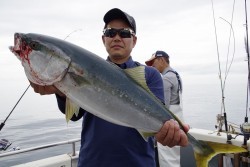 ハピネスⅡ 釣果