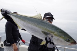 ハピネスⅡ 釣果