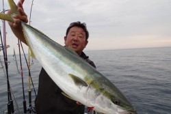 ハピネスⅡ 釣果