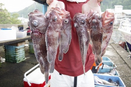 ハピネスⅡ 釣果